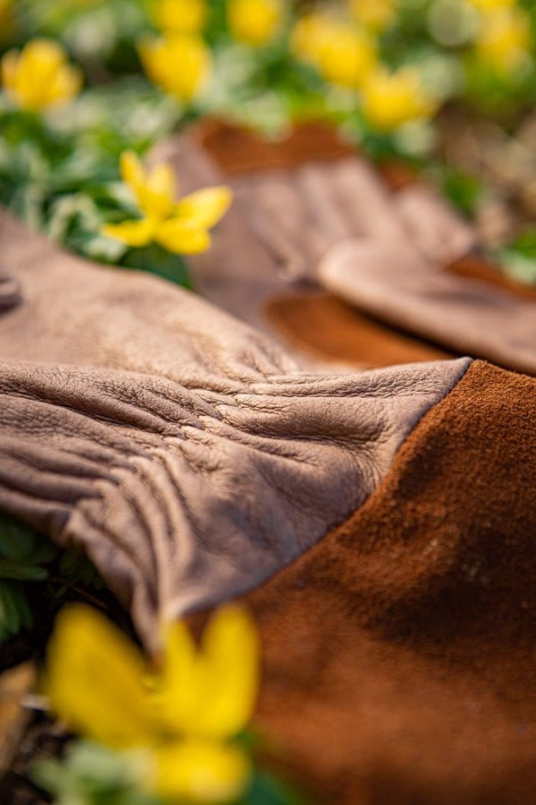 Rosenhandske "Rosie Mocca" - Blomsterverden